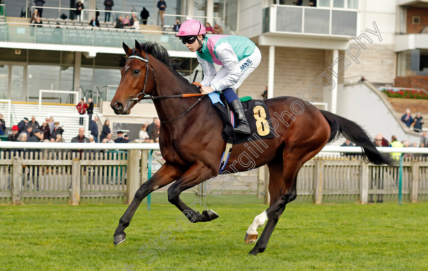 Pinhole-0001 
 PINHOLE (Billy Loughnane)
Newmarket 23 Oct 2024 - Pic Steven Cargill / Racingfotos.com