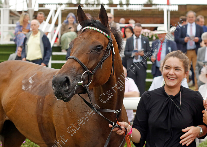 Haskoy-0004 
 HASKOY winner of The British EBF & Sir Henry Cecil Galtres Stakes
York 18 Aug 2022 - Pic Steven Cargill / Racingfotos.com