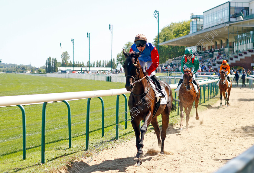 Keahenge-Bere-0001 
 KEAHENGE BERE (H Lebouc)
Deauville 6 Aug 2022 - Pic Steven Cargill / Racingfotos.com