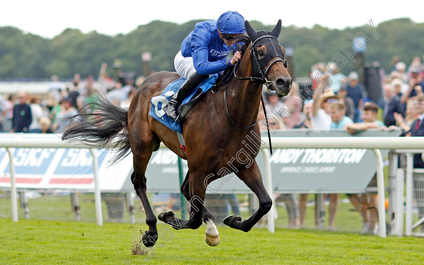 Valiant-Prince-0006 
 VALIANT PRINCE (James Doyle) wins The Seat Unique Ganton Stakes
York 10 Jun 2022 - Pic Steven Cargill / Racingfotos.com