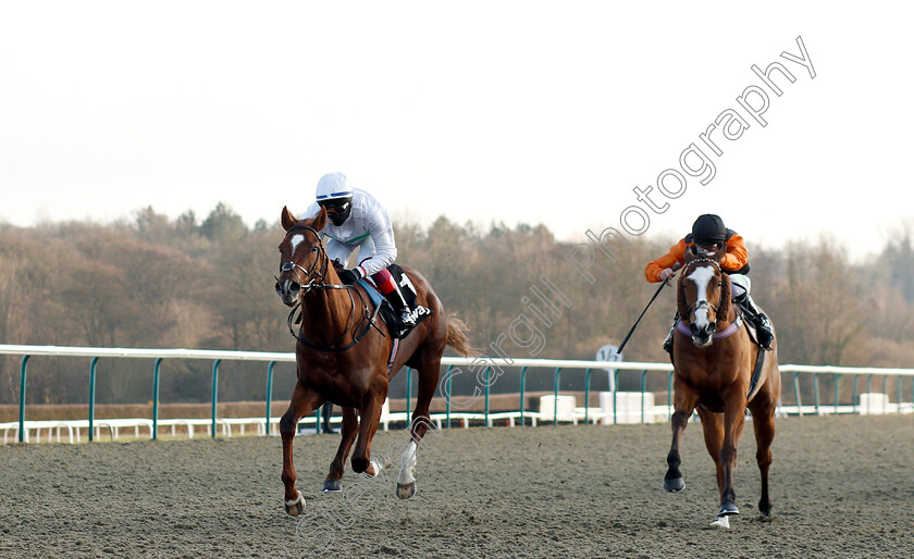 Wissahickon-0002 
 WISSAHICKON (Frankie Dettori) beats BIG COUNTRY (right) in The Betway Winter Derby Trial Stakes
Lingfield 2 Feb 2019 - Pic Steven Cargill / Racingfotos.com