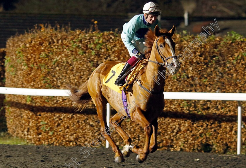 John-T-0001 
 JOHN T (Rob Hornby)
Kempton 11 Dec 2024 - Pic Steven Cargill / Racingfotos.com