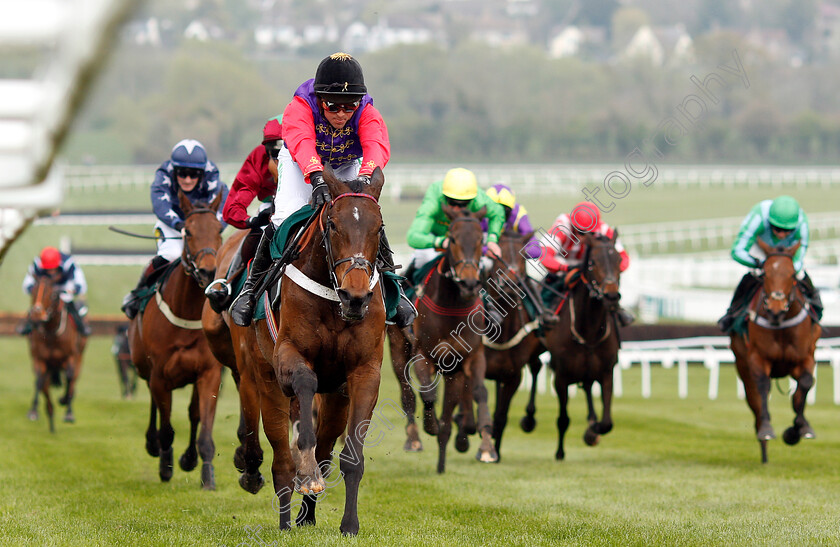 Sunshade-0002 
 SUNSHADE (Nico de Boinville) wins The Catesby Estates PLC Mares Handicap Hurdle
Cheltenham 18 Apr 2019 - Pic Steven Cargill / Racingfotos.com