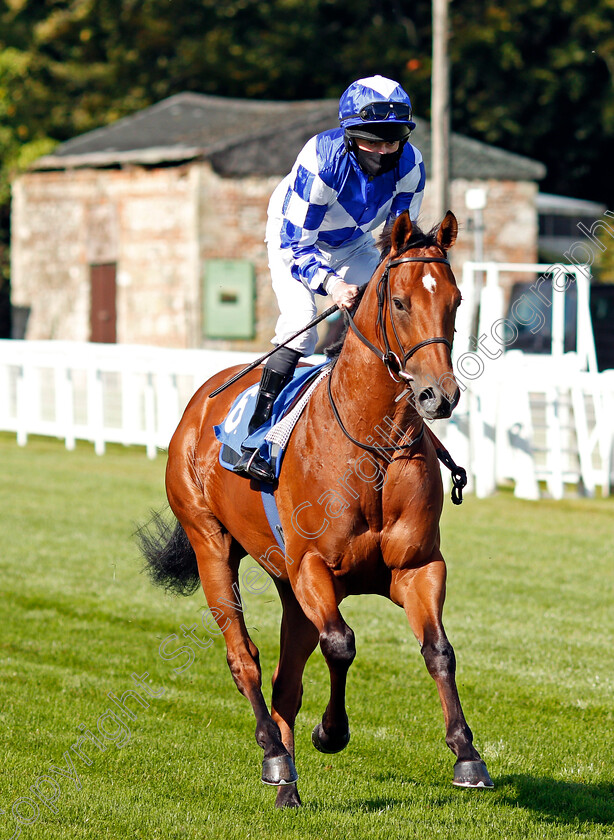 Invincible-Soldier-0001 
 INVINCIBLE SOLDIER (Liam Keniry)
Salisbury 1 Oct 2020 - Pic Steven Cargill / Racingfotos.com