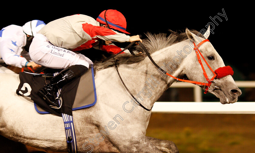 Tie-A-Yellowribbon-0007 
 TIE A YELLOWRIBBON (Ray Dawson) wins The chelmsfordcityracecourse.com Handicap Div1
Chelmsford 15 Oct 2020 - Pic Steven Cargill / Racingfotos.com