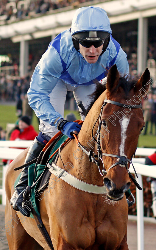 Shoal-Bay-0001 
 SHOAL BAY (Tom Scudamore) Cheltenham 15 Dec 2017 - Pic Steven Cargill / Racingfotos.com