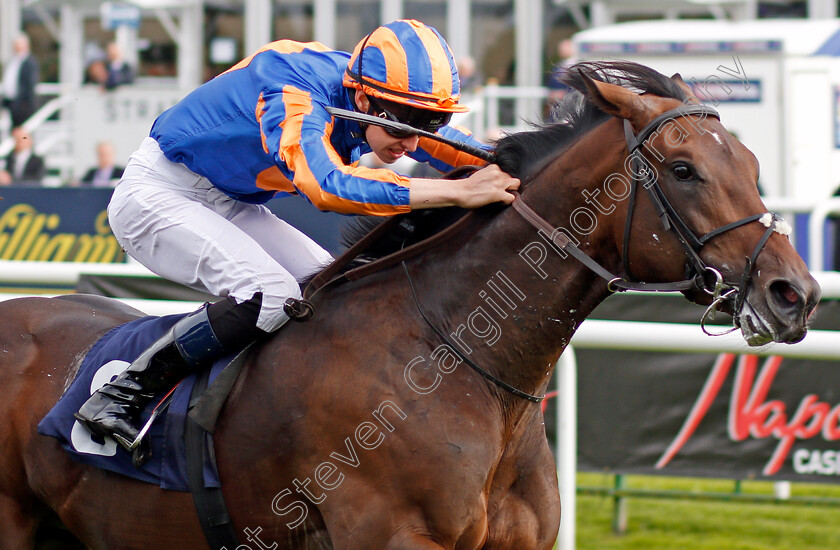 Seahenge-0004 
 SEAHENGE (Donnacha O'Brien) wins The Howcroft Industrial Supplies Champagne Stakes Doncaster 16 Sep 2017 - Pic Steven Cargill / Racingfotos.com