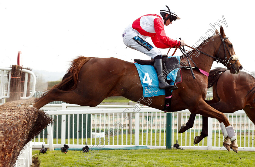 Tree-Of-Liberty-0002 
 TREE OF LIBERTY (Richard Patrick)
Cheltenham 17 Apr 2019 - Pic Steven Cargill / Racingfotos.com