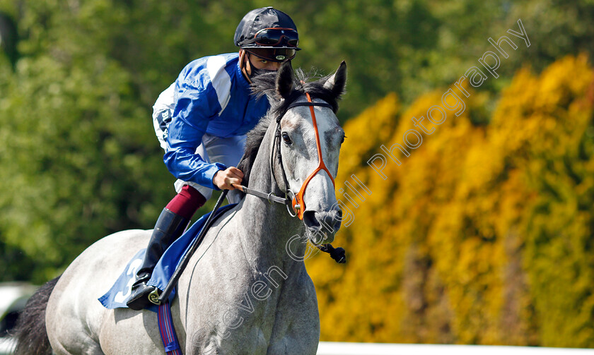 Anghaam-0002 
 ANGHAAM (Thore Hammer Hansen)
Salisbury 8 Jun 2021 - Pic Steven Cargill / Racingfotos.com