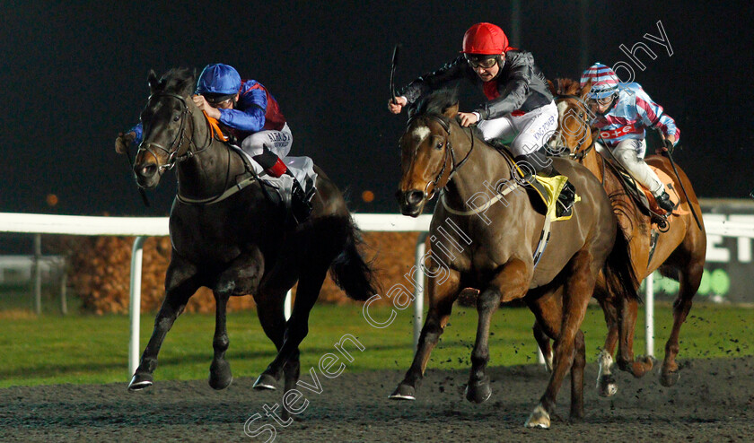 Confrerie-0003 
 CONFRERIE (left, Adam Kirby) beats LIGHTNING ATTACK (right) in The Join Racing TV Now Handicap Div1
Kempton 13 Jan 2021 - Pic Steven Cargill / Racingfotos.com