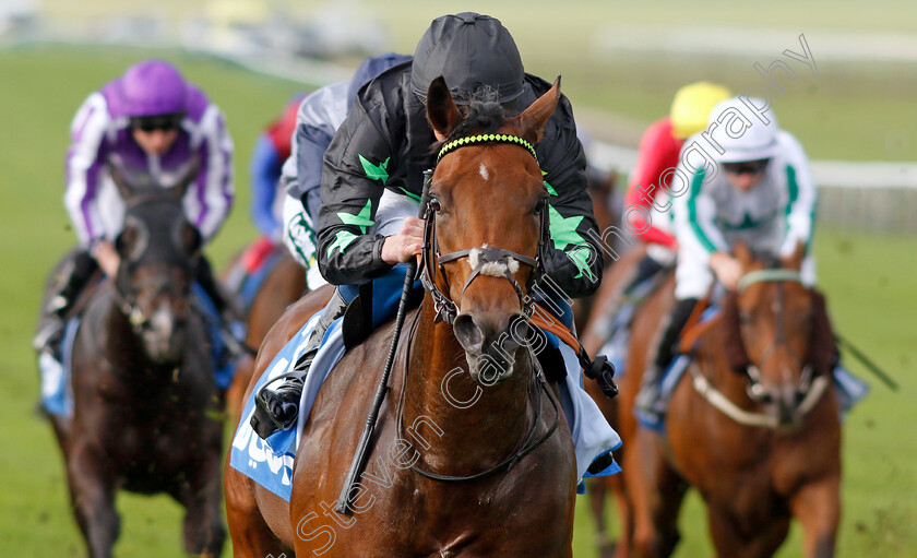 Inquisitively-0003 
 INQUISITIVELY (William Buick) wins The Newmarket Academy Godolphin Beacon Project Cornwallis Stakes
Newmarket 13 Oct 2023 - Pic Steven Cargill / Racingfotos.com