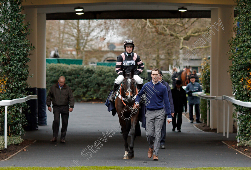 Claimantakinforgan-0005 
 CLAIMANTAKINFORGAN (Nico de Boinville) after The Sky Bet Supreme Trial Novices Hurdle Ascot 22 Dec 2017 - Pic Steven Cargill / Racingfotos.com