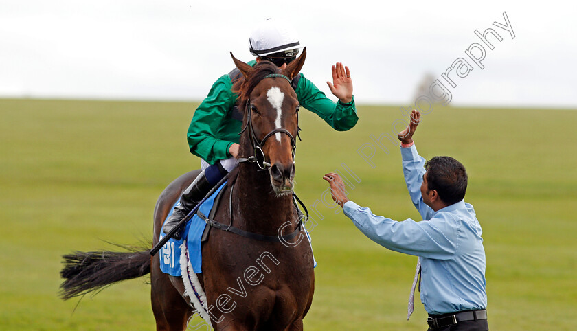 Limato-0011 
 LIMATO (Harry Bentley) after The Godolphin Stud And Stable Staff Awards Challenge Stakes Newmarket 13 Oct 2017 - Pic Steven Cargill / Racingfotos.com