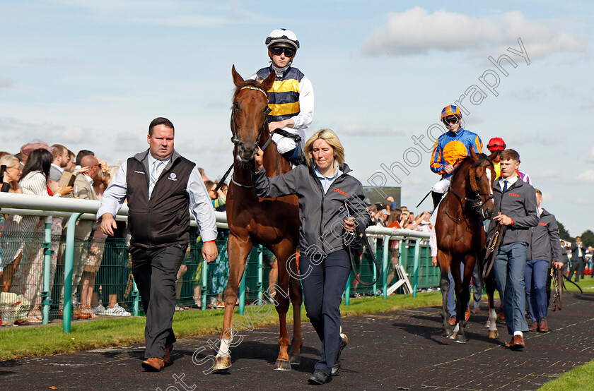 Ottoman-Emperor-0001 
 OTTOMAN EMPEROR (Ben Coen)
Doncaster 11 Sep 2021 - Pic Steven Cargill / Racingfotos.com