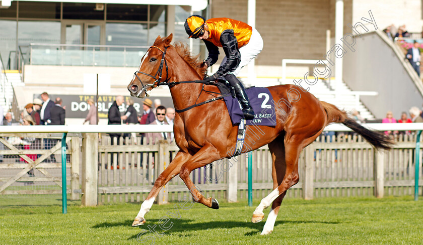 Carla s-Way-0009 
 CARLA'S WAY (James Doyle) winner of The Al Basti Equiworld Dubai Rockfel Stakes
Newmarket 29 Sep 2023 - Pic Steven Cargill / Racingfotos.com