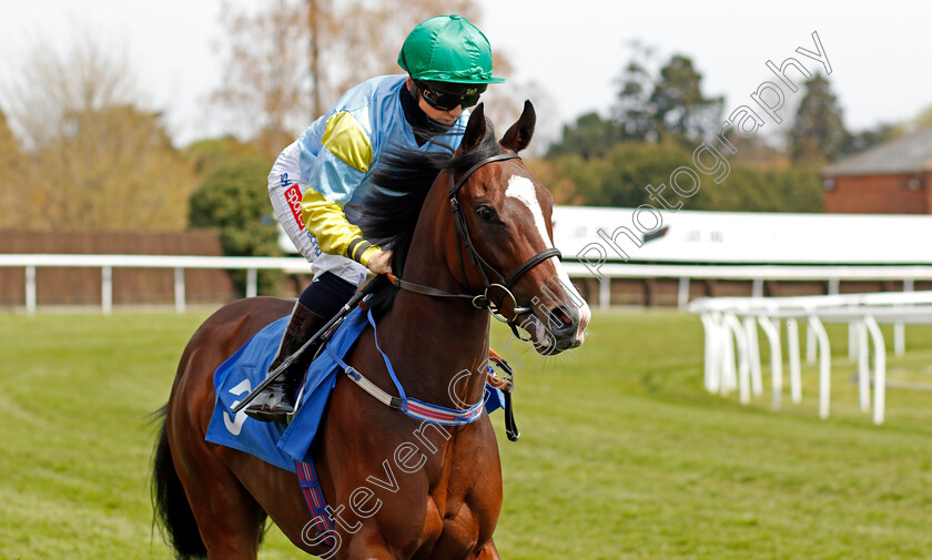 Bellarena-Lady-0001 
 BELLARENA LADY (Hollie Doyle) winner of The Join Racing TV Now Novice Stakes
Leicester 24 Apr 2021 - Pic Steven Cargill / Racingfotos.com