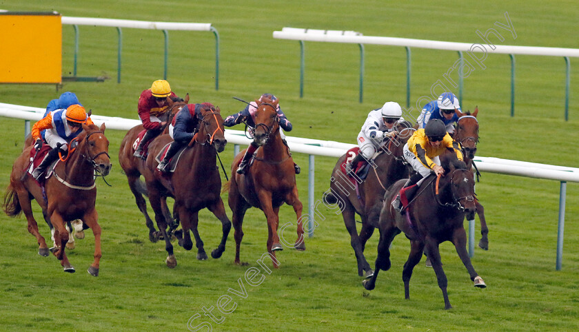 Luther-0006 
 LUTHER (Daniel Tudhope) wins The Betfair Ascendant Stakes
Haydock 7 Sep 2024 - Pic Steven Cargill / Racingfotos.com