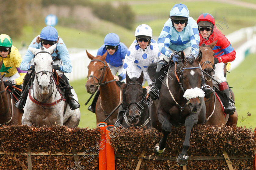 No-Hidden-Charges-0001 
 NO HIDDEN CHARGES (Tom Scudamore)
Cheltenham 25 Oct 2019 - Pic Steven Cargill / Racingfotos.com