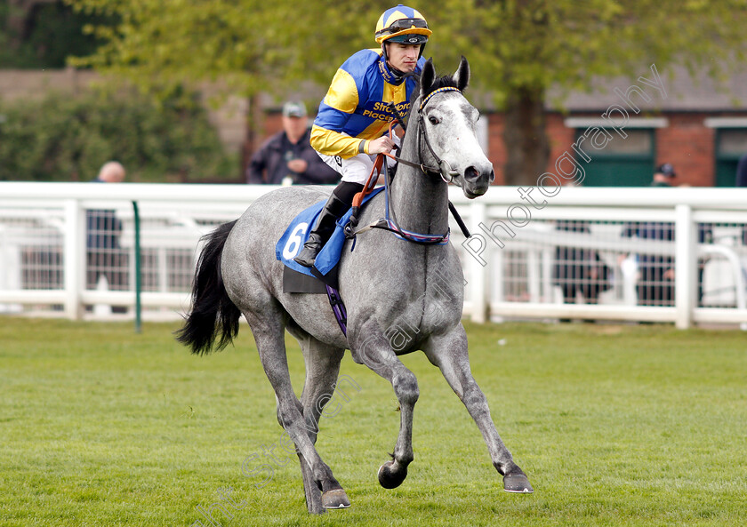 Flippa-The-Strippa-0003 
 FLIPPA THE STRIPPA (Richard Kingscote)
Nottingham 30 Apr 2019 - Pic Steven Cargill / Racingfotos.com