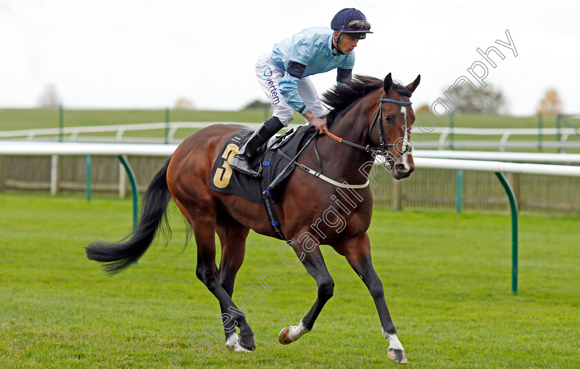 Spycatcher-0002 
 SPYCATCHER (Clifford Lee) winner of The 888sport British EBF Conditions Stakes
Newmarket 29 Oct 2021 - Pic Steven Cargill / Racingfotos.com