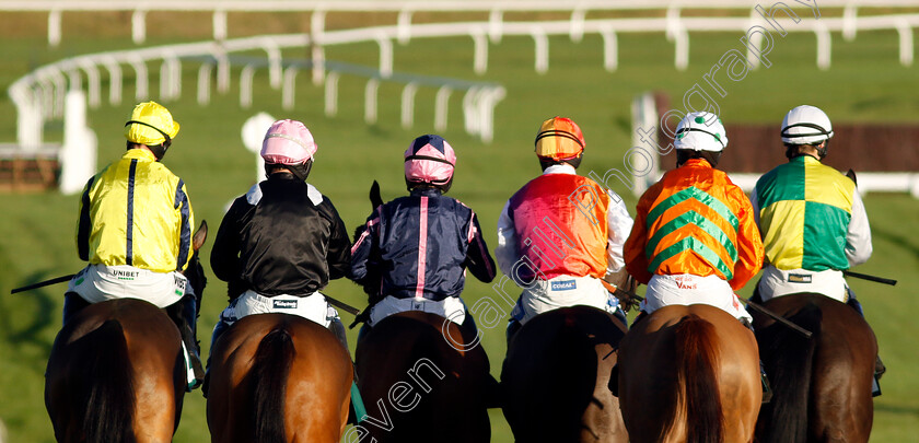 Cheltenham-0003 
 Horses at the start
Cheltenham 14 Dec 2024 - Pic Steven Cargill / Racingfotos.com