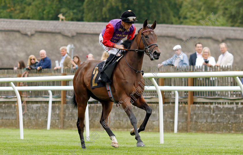 Hard-To-Resist-0001 
 HARD TO RESIST (Tom Marquand)
Newmarket 30 Jun 2023 - Pic Steven Cargill / Racingfotos.com