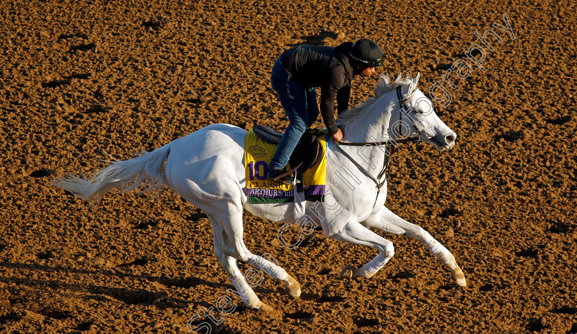 Arthur s-Ride-0001 
 ARTHUR'S RIDE training for the Breeders' Cup Classic
Del Mar USA 30 Oct 2024 - Pic Steven Cargill / Racingfotos.com