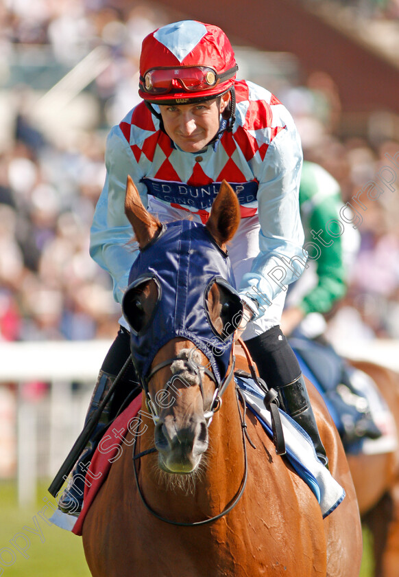 Red-Verdon-0001 
 RED VERDON (Shane Foley)
York 24 Aug 2019 - Pic Steven Cargill / Racingfotos.com