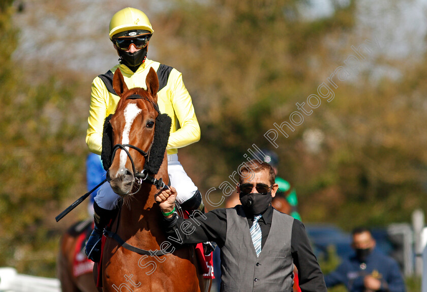 Zamaani-0001 
 ZAMAANI (James Doyle)
Lingfield 2 Apr 2021 - Pic Steven Cargill / Racingfotos.com