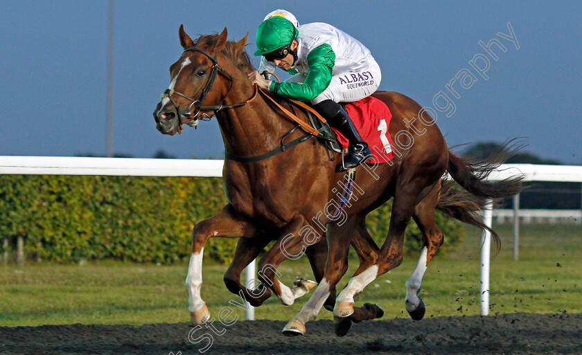 Kuwait-Currency-0002 
 KUWAIT CURRENCY (Pat Dobbs) wins The 32Red Handicap
Kempton 2 Oct 2019 - Pic Steven Cargill / Racingfotos.com