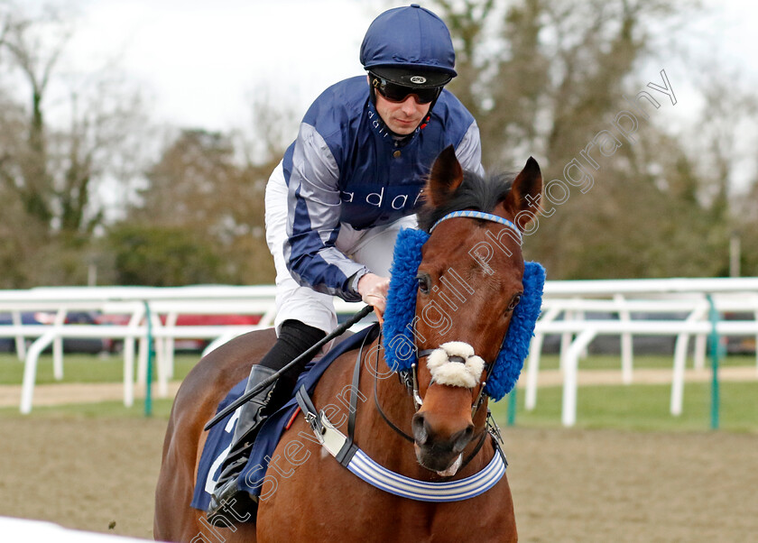 Chipstead-0001 
 CHIPSTEAD (Jack Mitchell)
Lingfield 20 Jan 2024 - Pic Steven Cargill / Racingfotos.com