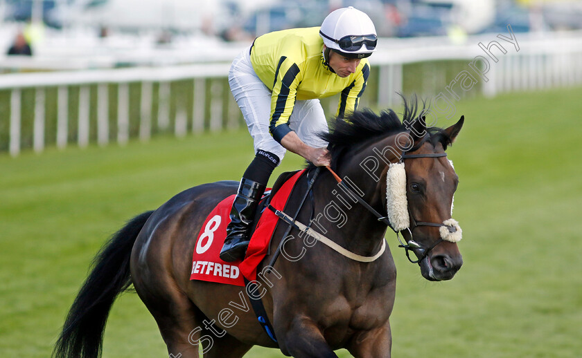 East-India-Dock-0002 
 EAST INDIA DOCK (Ryan Moore)
Doncaster 13 Sep 2024 - Pic Steven Cargill / Racingfotos.com