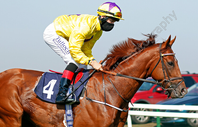 Star-Of-Wins-0002 
 STAR OF WINS (Cieren Fallon)
Yarmouth 15 Sep 2020 - Pic Steven Cargill / Racingfotos.com