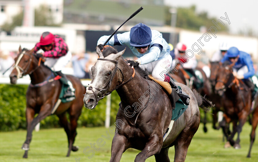 Harrow-0005 
 HARROW (Oisin Murphy) wins The Weatherbys Scientific £200,000 2-y-o Stakes
Doncaster 9 Sep 2021 - Pic Steven Cargill / Racingfotos.com