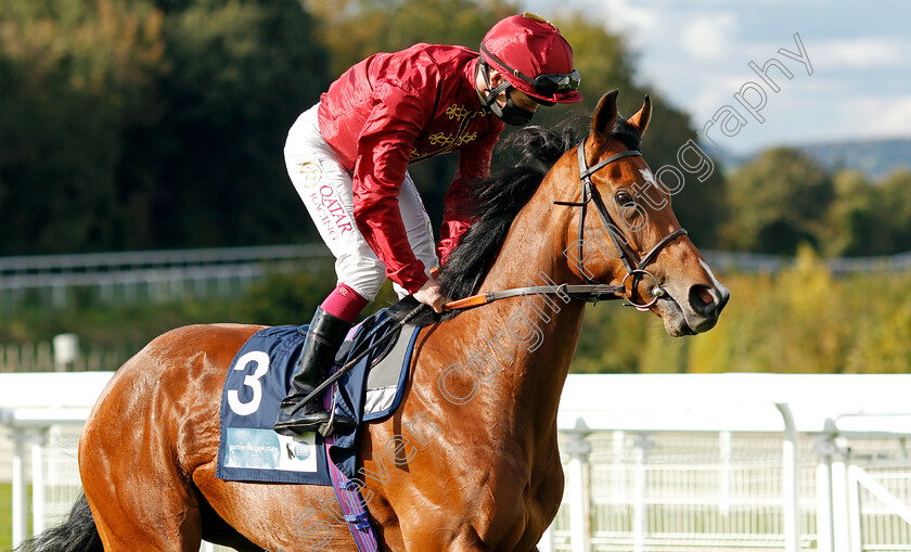 Afraid-Of-Nothing-0002 
 AFRAID OF NOTHING (Oisin Murphy)
Goodwood 11 Oct 2020 - Pic Steven Cargill / Racingfotos.com