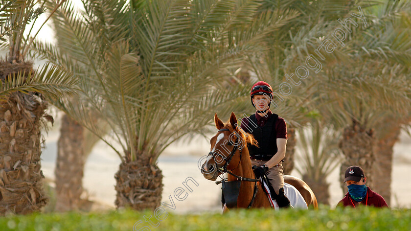 Sovereign-0002 
 SOVEREIGN training for the Bahrain International Trophy
Rashid Equestrian & Horseracing Club, Bahrain, 18 Nov 2020