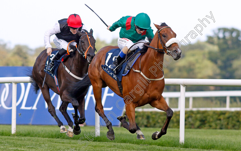 Tahiyra-0005 
 TAHIYRA (Chris Hayes) wins The Coolmore America Matron Stakes
Leopardstown 9 Sep 2023 - Pic Steven Cargill / Racingfotos.com