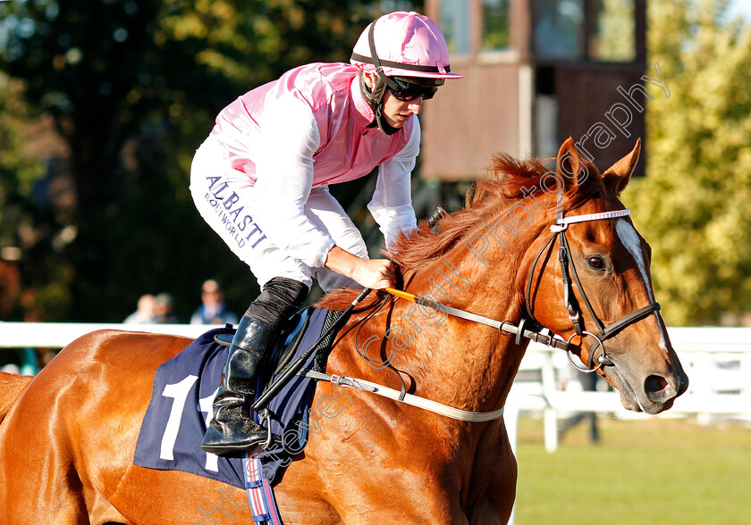 French-Polish-0001 
 FRENCH POLISH (Tom Marquand)
Lingfield 4 Aug 2020 - Pic Steven Cargill / Racingfotos.com