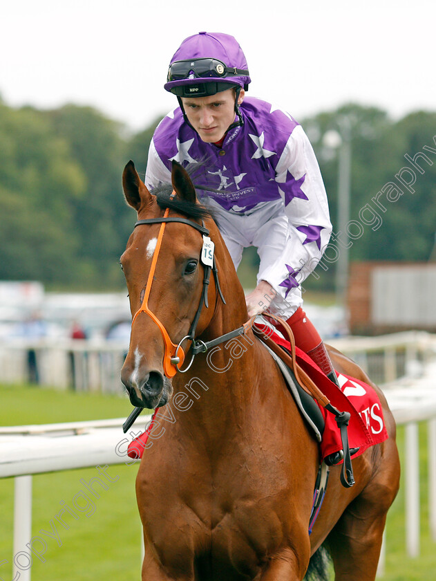 Three-Dons-0001 
 THREE DONS (David Egan)
York 19 Aug 2021 - Pic Steven Cargill / Racingfotos.com