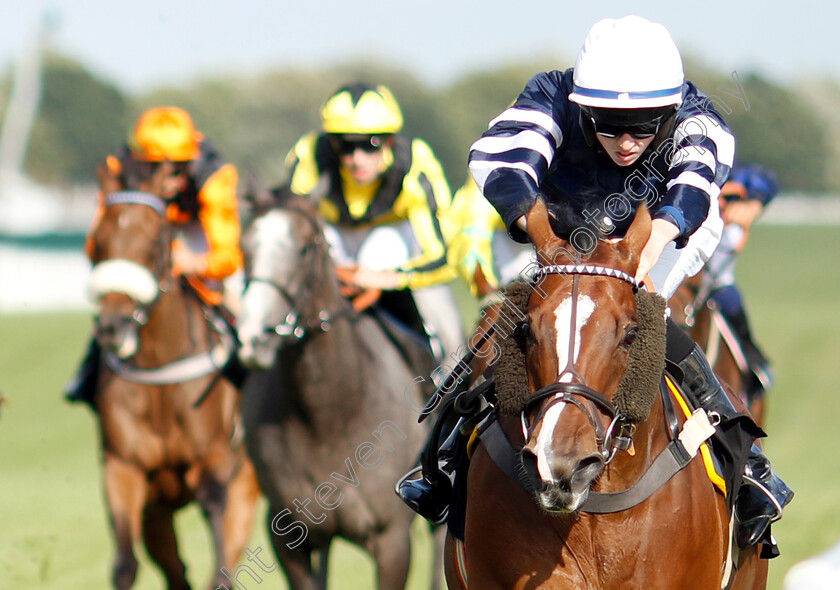 Misu-Pete-0004 
 MISU PETE (Darragh Keenan) wins The Mobile Pimm's Bars Apprentice Handicap
Newbury 17 Aug 2018 - Pic Steven Cargill / Racingfotos.com