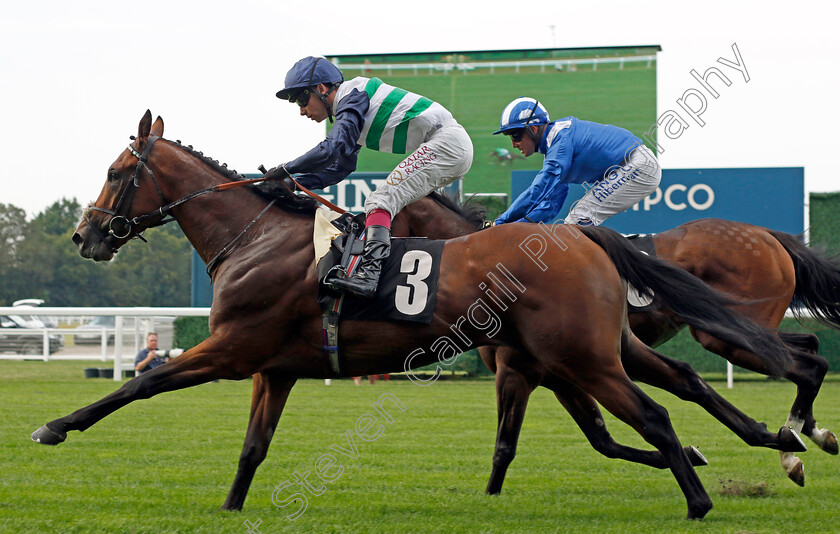 Glenfinnan-0001 
 GLENFINNAN (Oisin Murphy) wins The Bet With Ascot Classified Stakes
Ascot 8 Sep 2023 - Pic Steven Cargill / Racingfotos.com