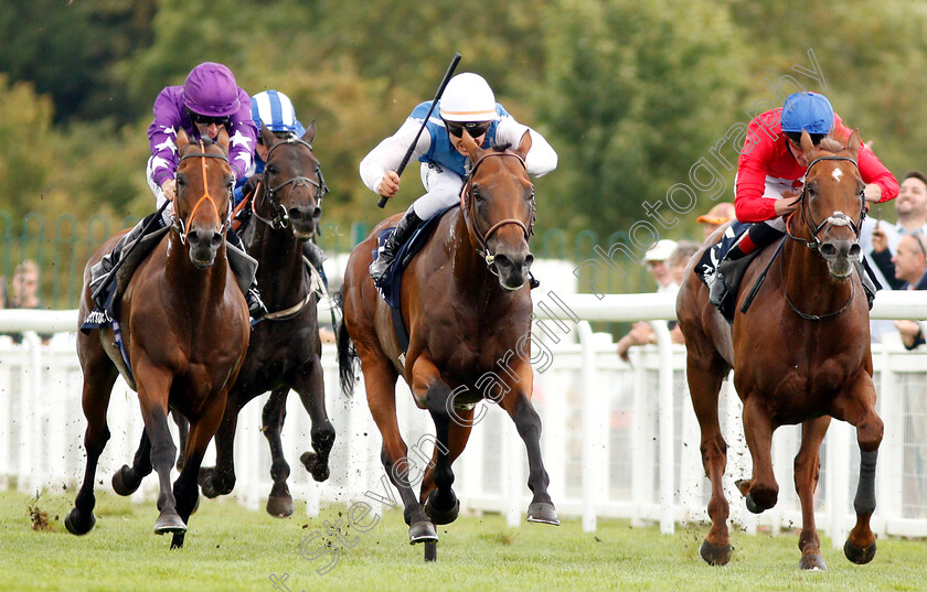 Plumatic-0004 
 PLUMATIC (centre, Maxime Guyon) beats OH THIS IS US (left) and ZONDERLAND (right) in The Tattersalls Sovereign Stakes
Salisbury 16 Aug 2018 - Pic Steven Cargill / Racingfotos.com