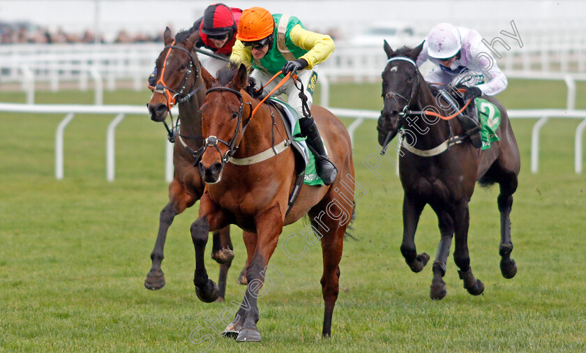 Midnight-Shadow-0001 
 MIDNIGHT SHADOW (Danny Cook) wins The Paddy Power Broken Resolutions Already Dipper Novices Chase
Cheltenham 1 Jan 2020 - Pic Steven Cargill / Racingfotos.com