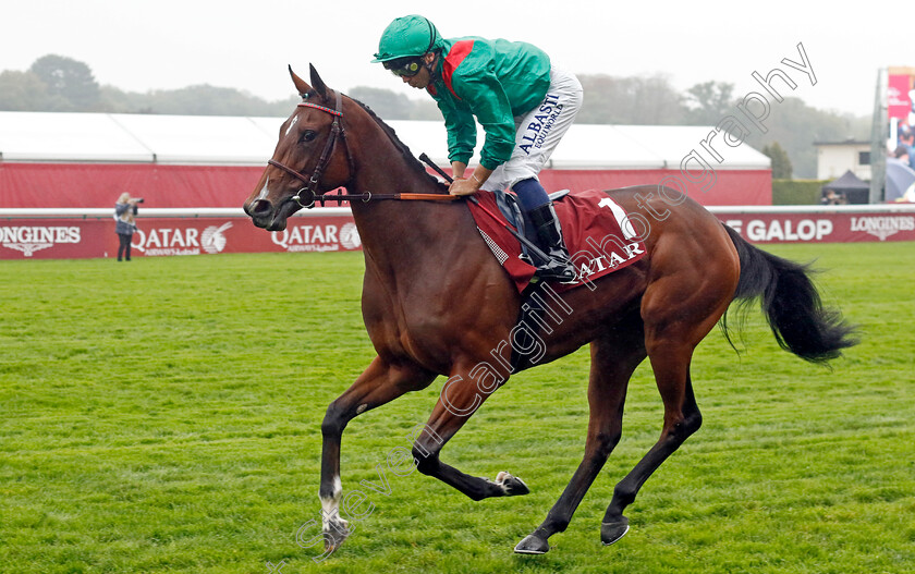 Zarigana-0002 
 ZARIGANA (Mickael Barzalona)
Longchamp 6 Oct 2024 - Pic Steven Cargill / Racingfotos.com