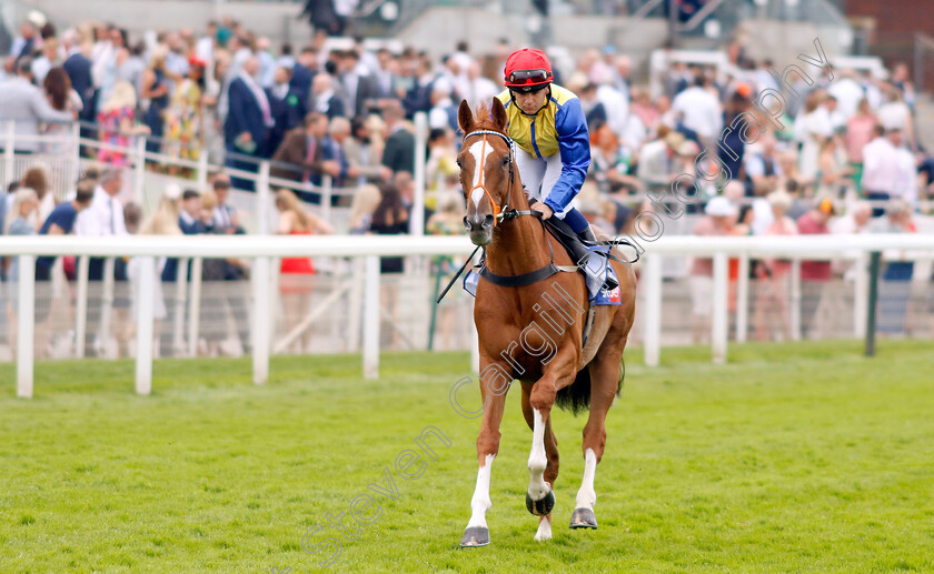 Rhythmic-Intent-0001 
 RHYTHMIC INTENT (Marco Ghiani)
York 17 Jun 2023 - Pic Steven Cargill / Racingfotos.com