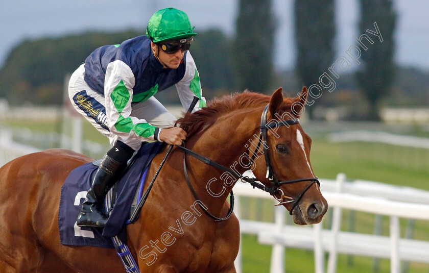 Bullet-0001 
 BULLET (Kevin Stott)
Southwell 4 Oct 2022 - Pic Steven Cargill / Racingfotos.com