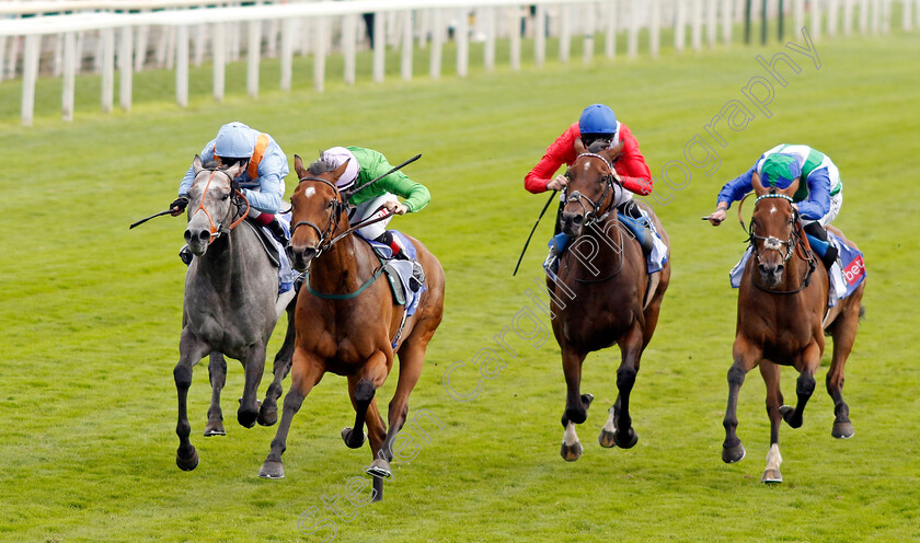 Breege-0005 
 BREEGE (2nd left, Colin Keane) beats SHOULDVEBEENARING (left) and VAFORTINO (right) in The Sky Bet City Of York Stakes
York 24 Aug 2024 - Pic Steven Cargill / Racingfotos.com