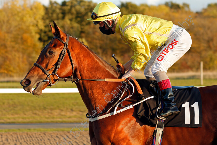 Mister-Allegro-0001 
 MISTER ALLEGRO (Franny Norton)
Chelmsford 22 Oct 2020 - Pic Steven Cargill / Racingfotos.com