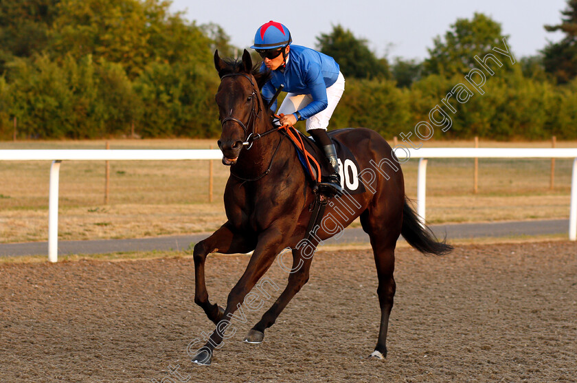 Balaawy-0001 
 BALAAWY (Yuga Kawada)
Chelmsford 24 Jul 2018 - Pic Steven Cargill / Racingfotos.com