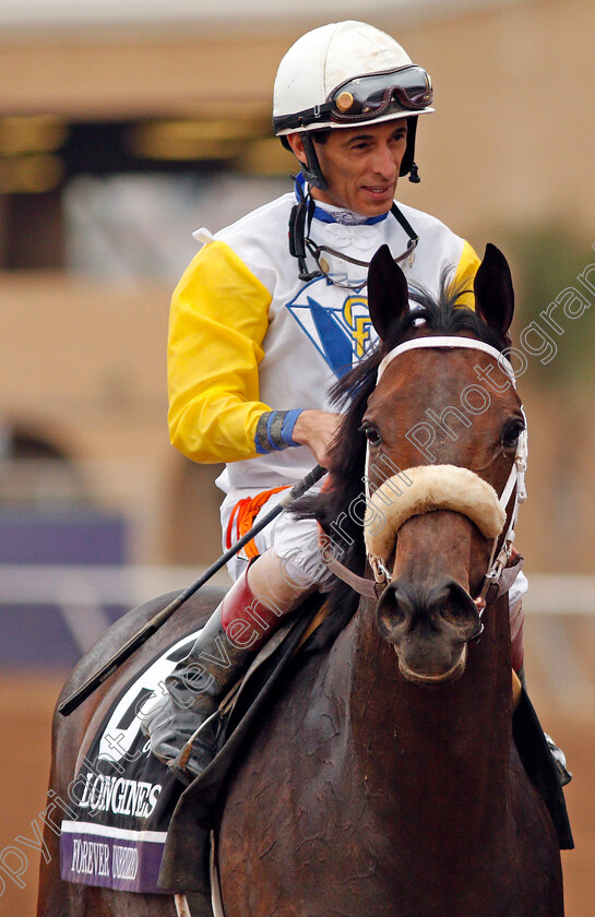 Forever-Unbridled-0009 
 FOREVER UNBRIDLED (John Velazquez) after The Breeders' Cup Distaff, Del Mar USA 3 Nov 2017 - Pic Steven Cargill / Racingfotos.com